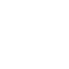icons8-circle-around-100