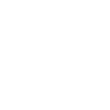 icons8-focus-100
