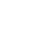 icons8-seo-100