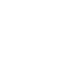 icons8-speed-100