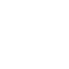icons8-wordpress-100