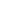 icons8-accuracy-100 (1)