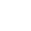icons8-branding-100 (1)