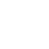 icons8-certificate-icon-100 (1)