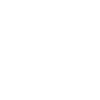 icons8-consultation-100