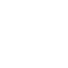 icons8-customer-insight-100 (1)