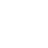 icons8-customer-insight-100