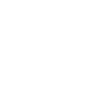 icons8-google-web-search-100