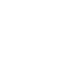 icons8-language-100