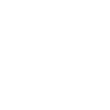icons8-leadership-100
