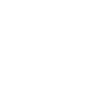 icons8-portfolio-100