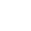 icons8-seo-100