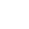 icons8-shield-100 (3)