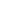 icons8-shield-100