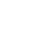 icons8-shop-local-100