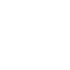 icons8-shopify-100