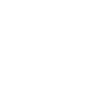 icons8-web-accessibility-100