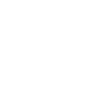 icons8-website-100