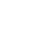 icons8-website-performance-100