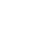 icons8-zeppelin-100 (1)